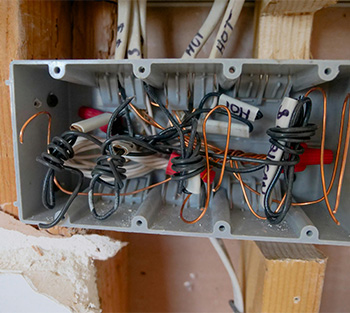 Family Court Shortcuts that Short Circuit Children’s Lives - Photos - Pexels